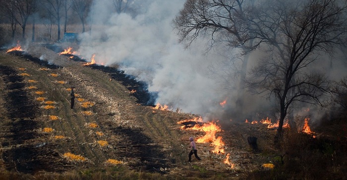 秸稈監(jiān)測信息化?筑牢禁燒“防火墻”